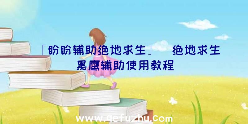 「盼盼辅助绝地求生」|绝地求生黑鹰辅助使用教程